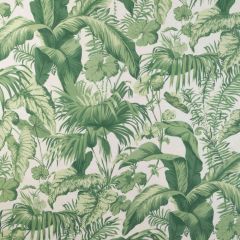 Kravet Couture Yasuni Verde 3 Casa Botanica Collection Multipurpose Fabric