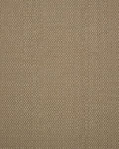 Sunbrella Action Taupe 44285-0003 Elements Collection Upholstery Fabric
