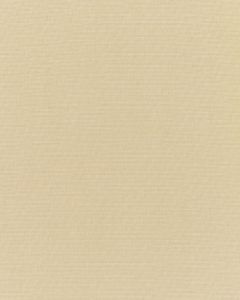 Sunbrella Canvas Antique Beige 5422-0000 Elements Collection Upholstery Fabric