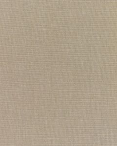 Sunbrella Canvas Taupe 5461-0000 Elements Collection Upholstery Fabric