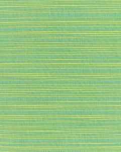 Sunbrella Dupione Paradise 8050-0000 Elements Collection Upholstery Fabric