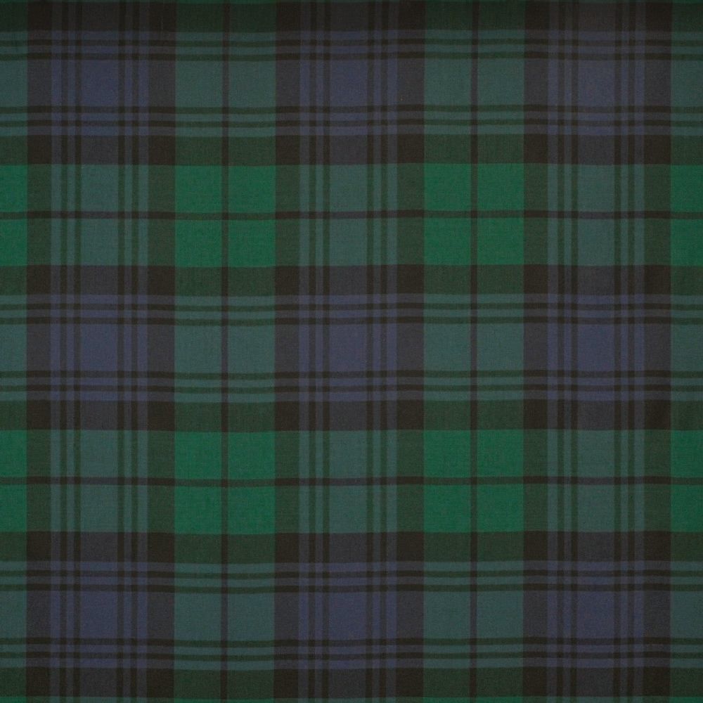 ralph lauren tartan