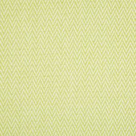 Buy Robert Allen Nesting Zigzag Spring Grass Color Library Collection ...