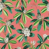 Scalamandre Rhododendron - Outdoor Greys and Greens On Flamingo SC 000416454 Contract Upholstery Fabric