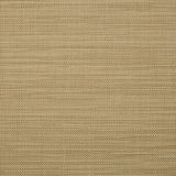 Sunbrella Augustine Golden 5928-0049 Sling Upholstery Fabric