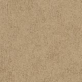 Sunbrella Beige 78001-0000 The Terry Collection Upholstery Fabric
