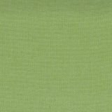 Tempotest Home Sempre Lime Indoor/Outdoor Upholstery Fabric
