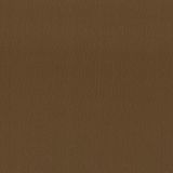 Stout Lodge Walnut 12 Leather Looks III Performance Collection Indoor Upholstery Fabric