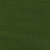 Tempotest Home Michelangelo Olive 50964/5 Strutture Collection Upholstery Fabric