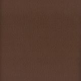 Stout Lodge Cocoa 13 Leather Looks III Performance Collection Indoor Upholstery Fabric