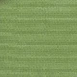 Tempotest Home Stella Lichen Indoor/Outdoor Upholstery Fabric