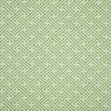 Sunbrella Meander Shamrock 44216-0005 Fusion Collection Upholstery Fabric