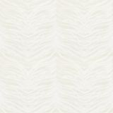 Stout Skin Sandstone 4 Color My Window Collection Multipurpose Fabric