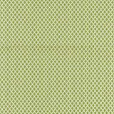 Boris Kroll Bellaire Trellis Leaf BK 0003K65121 Calypso - Crypton Home Collection Contract Indoor Upholstery Fabric