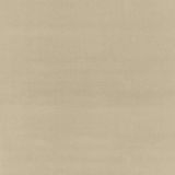 Boris Kroll Richmond Velvet Latte BK 0004K65122 Calypso - Crypton Home Collection Contract Indoor Upholstery Fabric