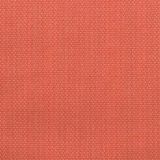 Tempotest Home Sempre Coral Indoor/Outdoor Upholstery Fabric
