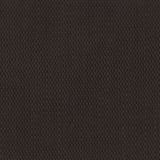 Perennials Rough 'n Rowdy Basalt 955-106 Beyond the Bend Collection Upholstery Fabric