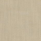 Perennials Rough 'n Rowdy Parchment 955-02 Beyond the Bend Collection Upholstery Fabric
