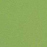 Sunbrella Canvas Ginkgo 54011-0000 Elements Collection Upholstery Fabric