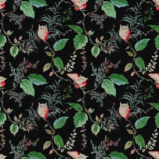 Buy Kravet Design Owlish Black 819 Curiosities Collection by Kate Spade  Multipurpose Fabric